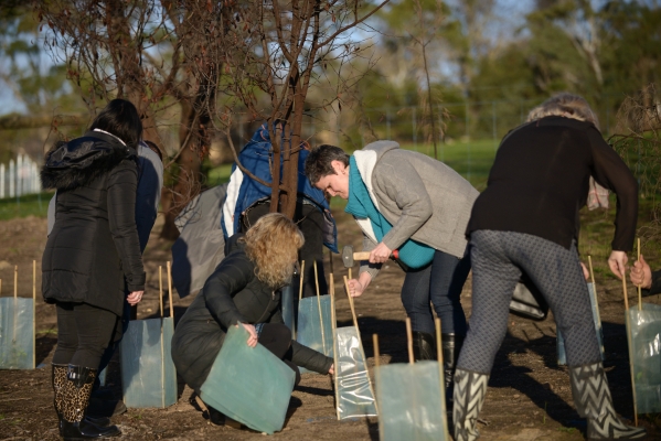 gallery/2016 Leaders Forum tree planting at Narmbool/lizcrothers_7583-tn.jpg